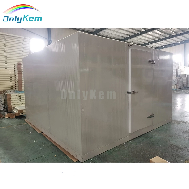 Freezer/Chiller/Cool/Cold Storage Room with Compressor Refrigeration Unit for Meat/Vegetables/Fish/Fruit