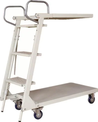 Best Sales Warehouse Stainless Steel Rolling Mobile Platform Ladder Truck