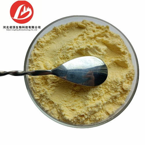 Health Supplement Additive CAS 303-98-0 Ubidecarenone Powder