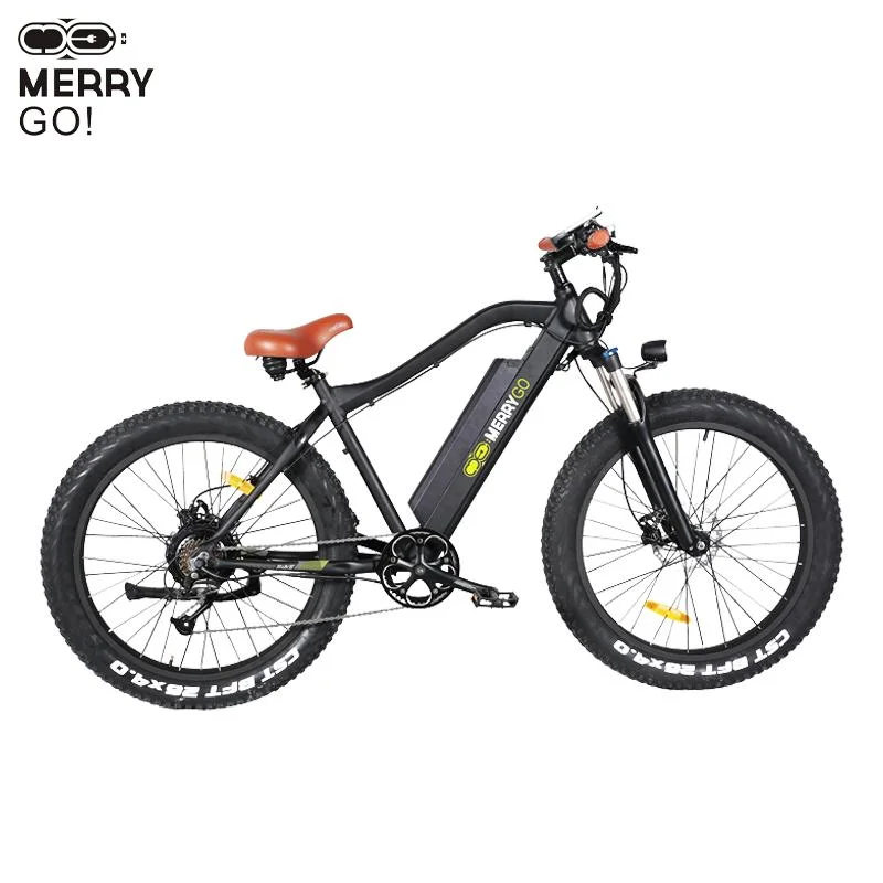 Alloy Frame Fat Tire Ebike Electric Beach Bicycle for Adult