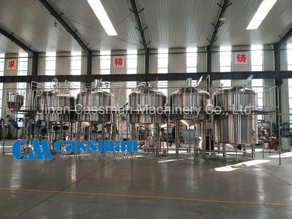 Large 2000L Commercial Beer Brewing Cassman Turnkey Fermenter Brewery Equipment