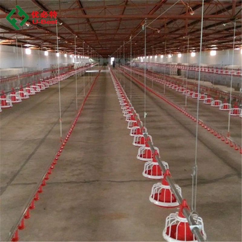 Geflügel Farm Leying Hens Equipment System Automatische Batterie Schicht Huhn Brooder Cage