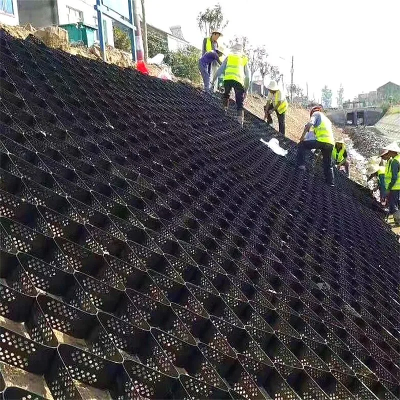 Grille de pavage en plastique HDPE dans la construction routière de géocellules, de géocellules Neoloy High-Strength