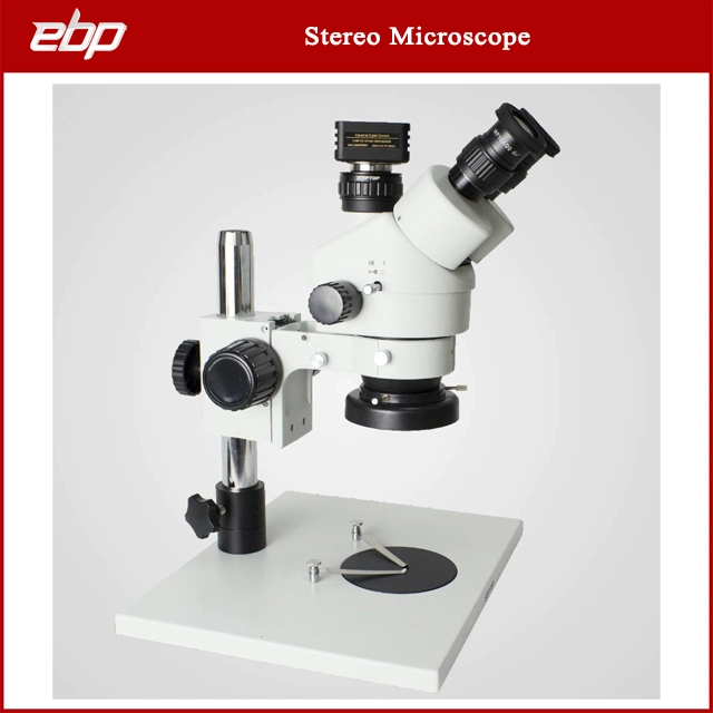 Optical Industries Small Stereo Microscope