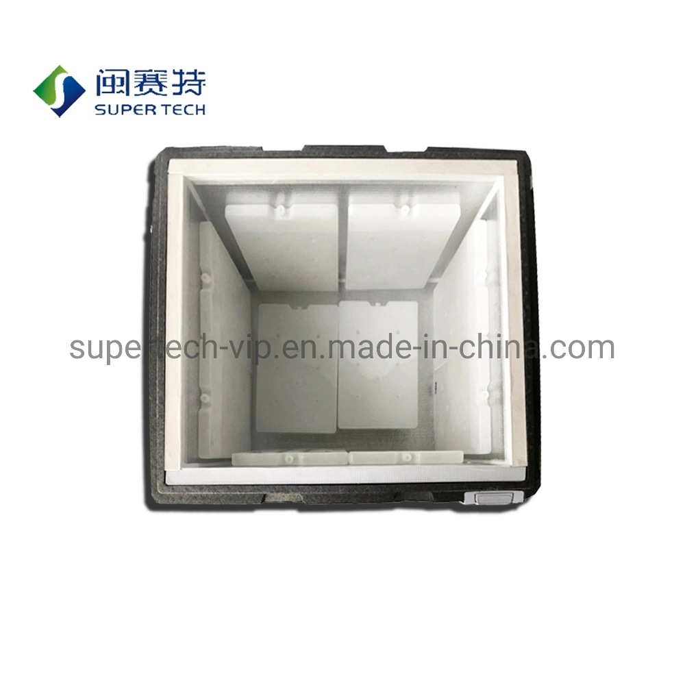 Durable Reusable EPP VIP Cooler Box for Pharmaceutical Temperature Controlled Packaging