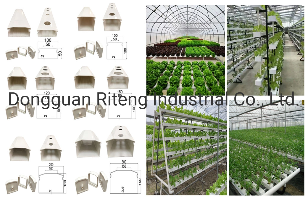 Hydroponics Growing Systems for Vertical Farm Planting Trough Used for Vertical Farm