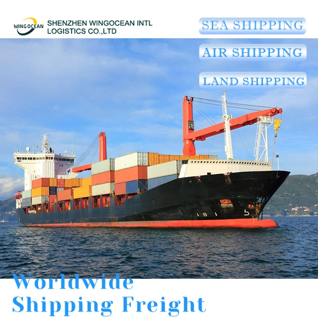 Cheap Sea Freight and Fast Shipping Agent LCL/FCL/Sea DDP Logistica Service From China to Pakistan