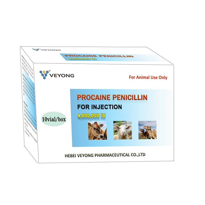 جودة جيدة 1, 000, 000iu Penicillin للحقن الطب البيطري بالجملة