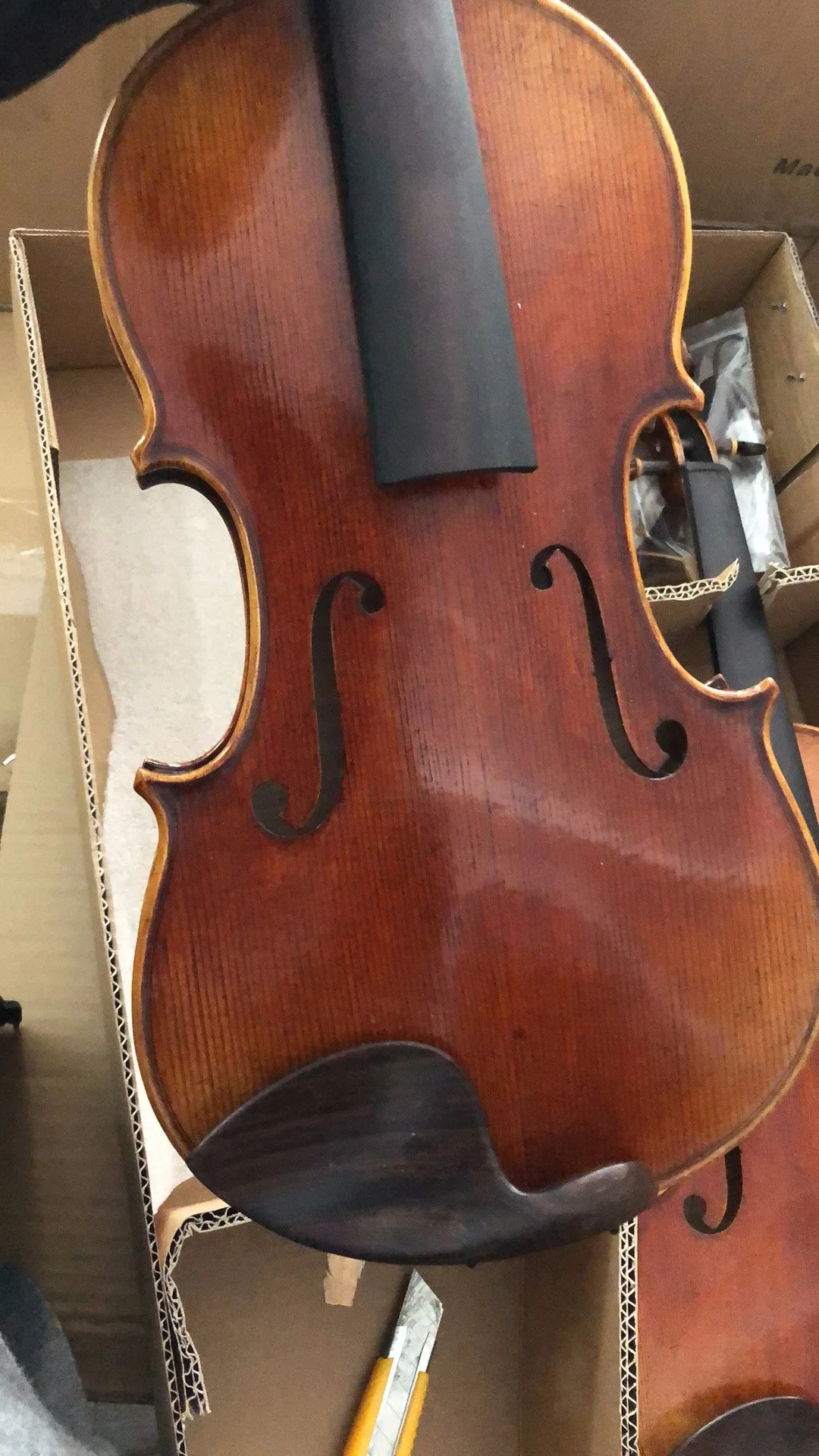 One Piece Back Hand Made High Master Violin (AVA300S)