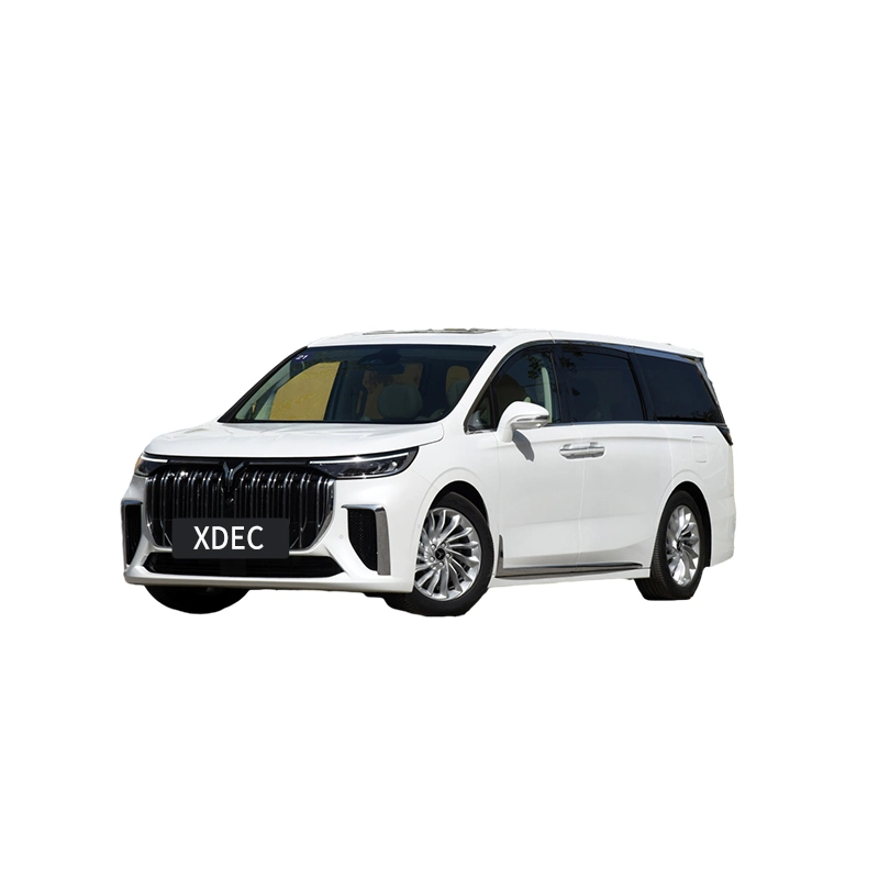 Premium Large MPV of 2023 New 7 Seats New Lantu Energy Vehicle