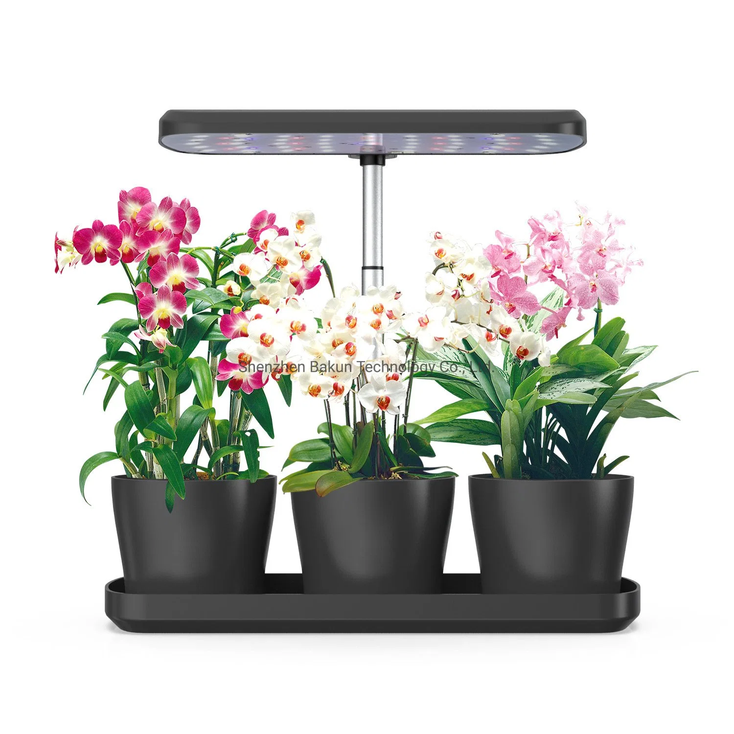 LED Mini Garden Plastic Table Grow Plant Lights Lamp with Tray Kids New 2021 Grow Your Own Full Spectrum