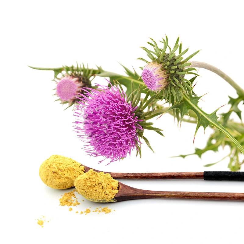 Health Care Milk Thistle Seed Extract Silymarin 80%, Silybin and Isosilybin 30% Powder