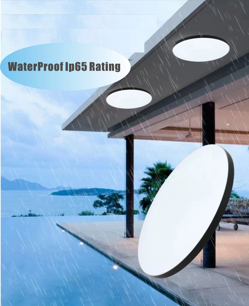 Factory Direct Price Wave Cover Ceiling LED Lights Shape 3 12W Dimmable CCT 3000K/4000K/6500K