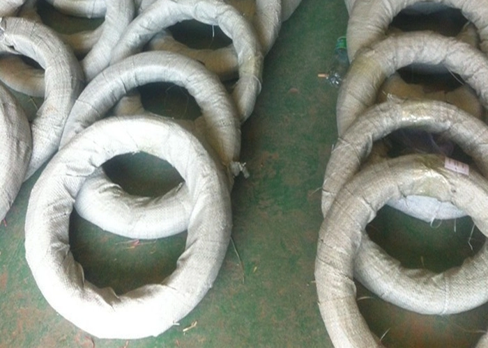 Galvanized U Type Wire with Best Price