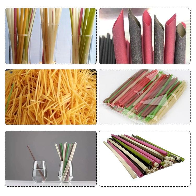 Food Grade Edible Rice Straws Making Machine Automatic Biodegradable Pasta Drinking Straws Making Equipment for Sale