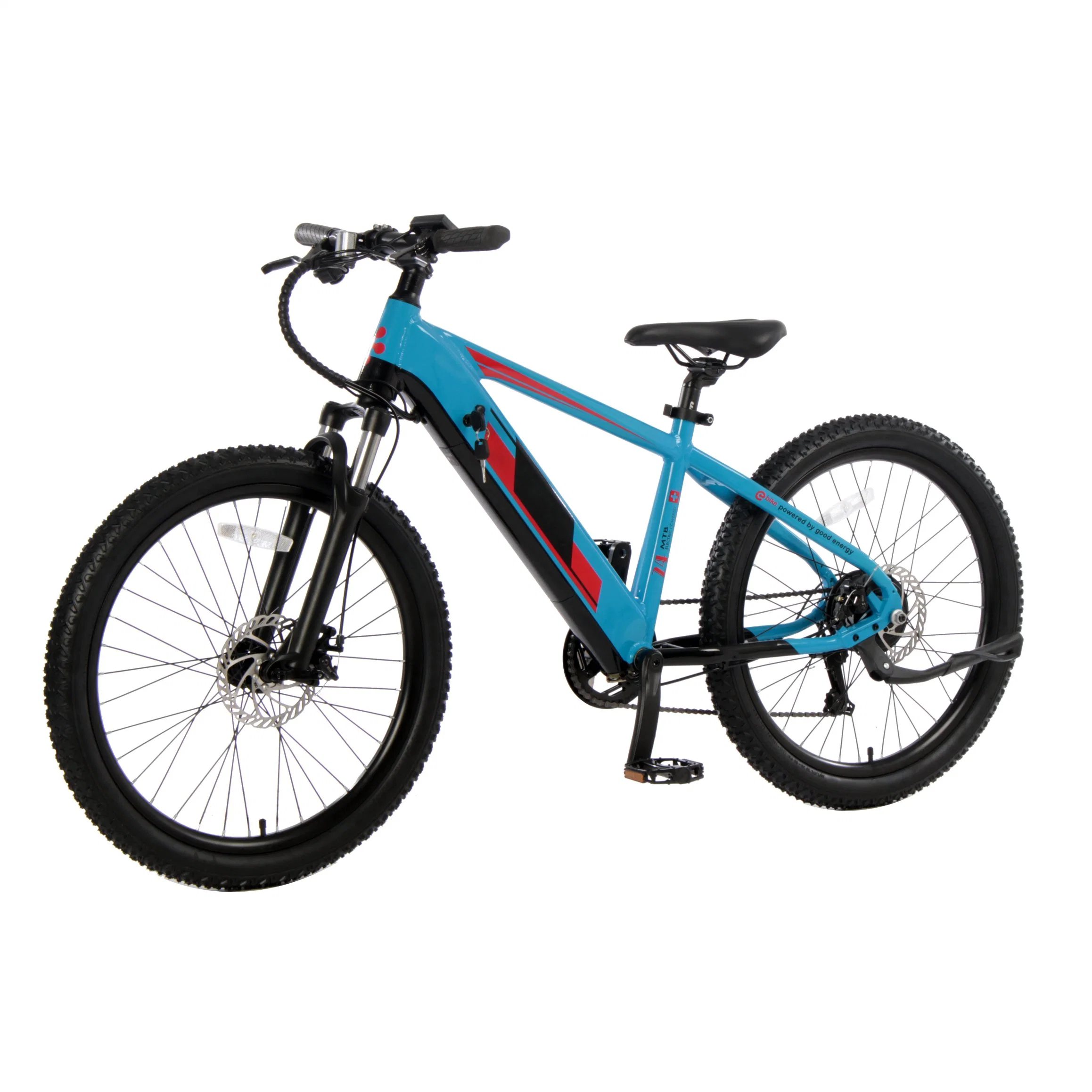 Children 24 Inch Aluminum 250W Hub Motor Electric Bike LED Display Mountain Bicycle