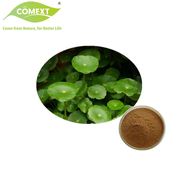 Comext Supplément santé Asiaticoside naturel d'alimentation de 5 % -95 % Extrait de Centella asiatica Gotu Kola extraire