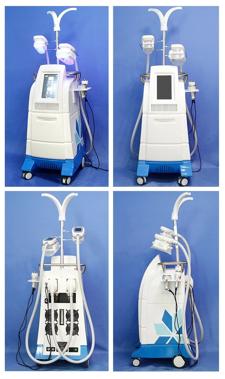 Vertical Cryolipolysis multifunción de la grasa corporal de congelación de la máquina de adelgazamiento