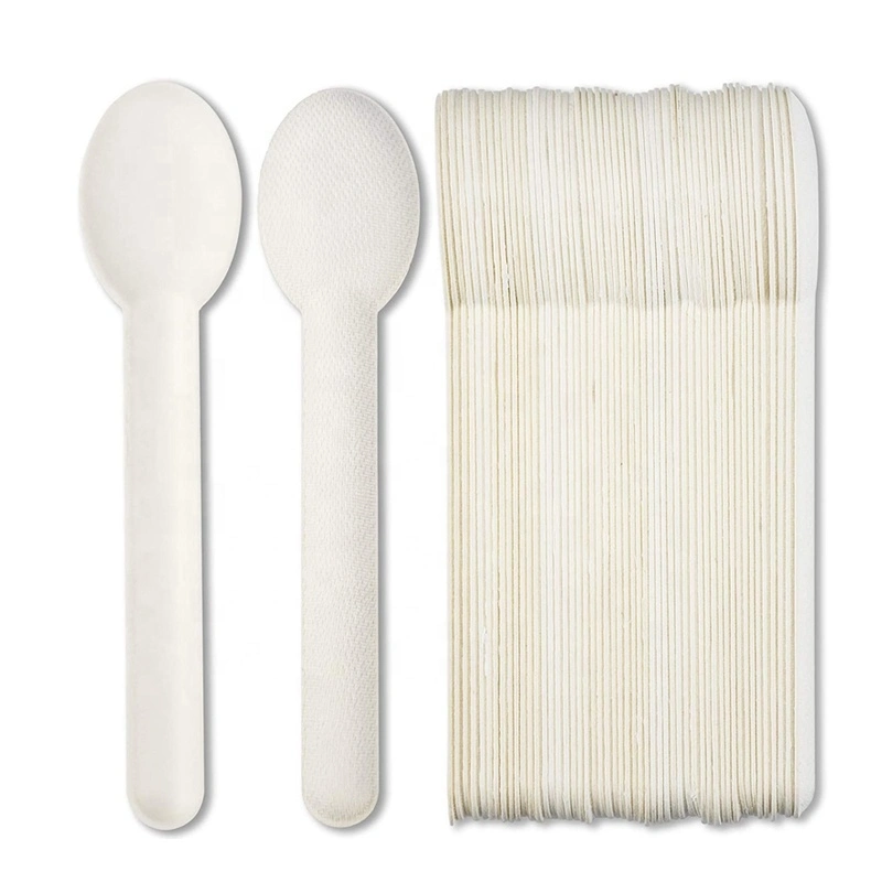 Wholesale/Supplier Gift Samples Natural Flatware Disposable Sugarcane Pulp Cutlery Sets Spoon