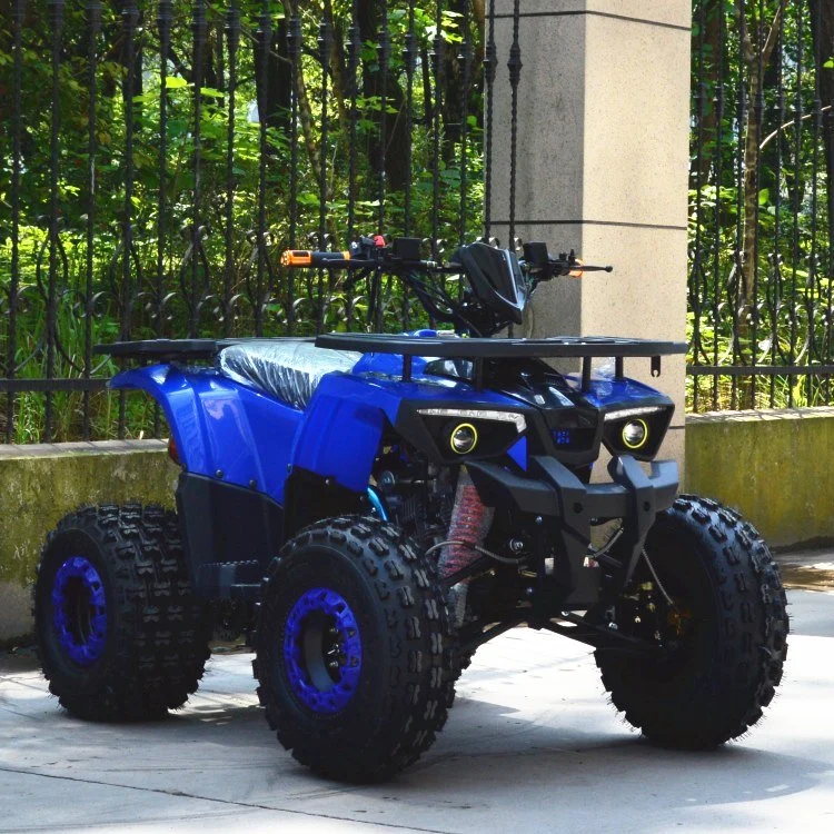 China Motorcycles 150cc 125cc ATV Quad Bike Four Wheelers New Model