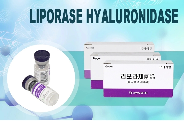 Hot Selling Korea Long-Lasting Liporase Hyaluronidase for Injection to Buy