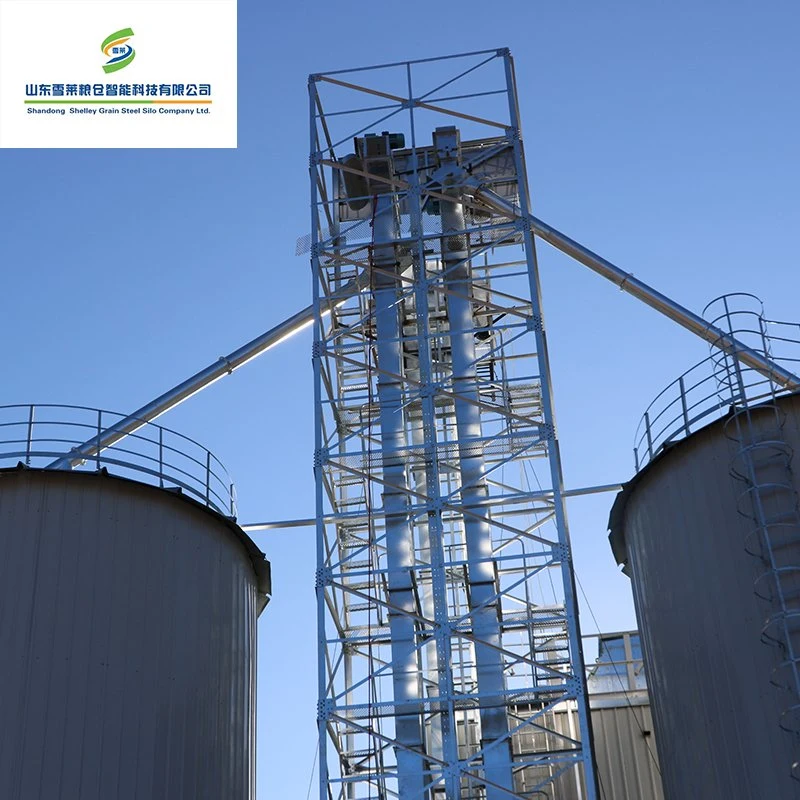 Flat Bottom Silo Bulck Grain Storage Silo with Vertical Bucket Elevator