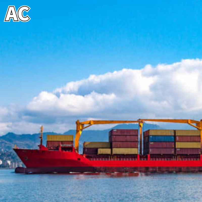 Professional Alibaba Express Agent for Sea Freight From China to Costa Rica