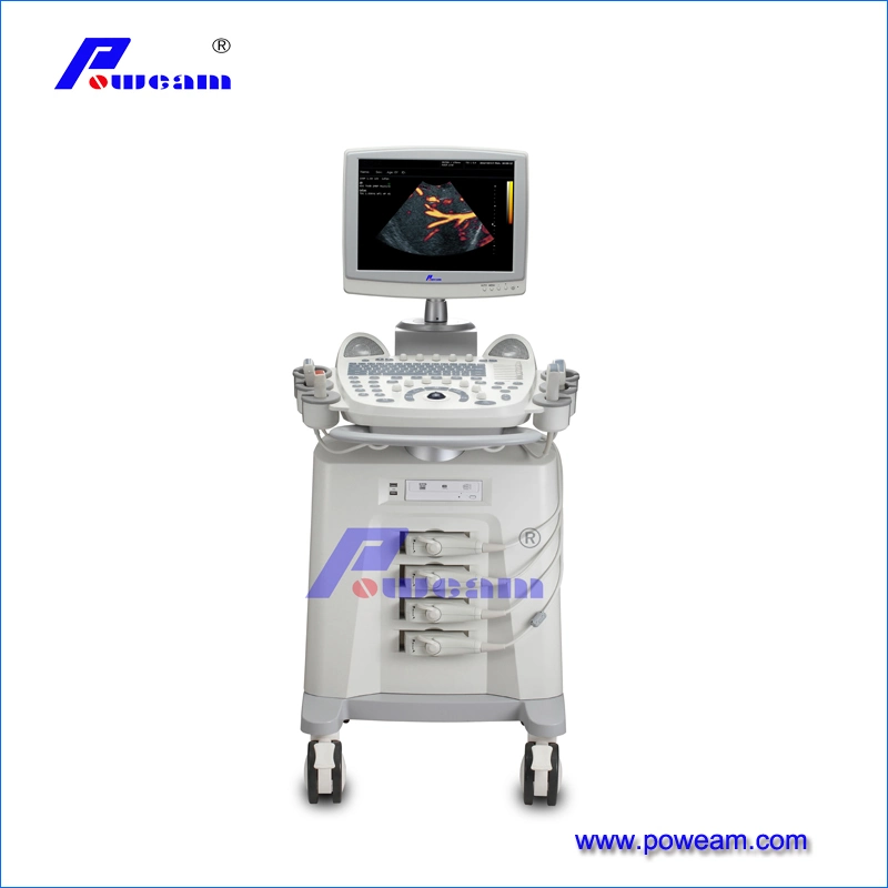 3D Portable Color Doppler Ultrasound Machine Price