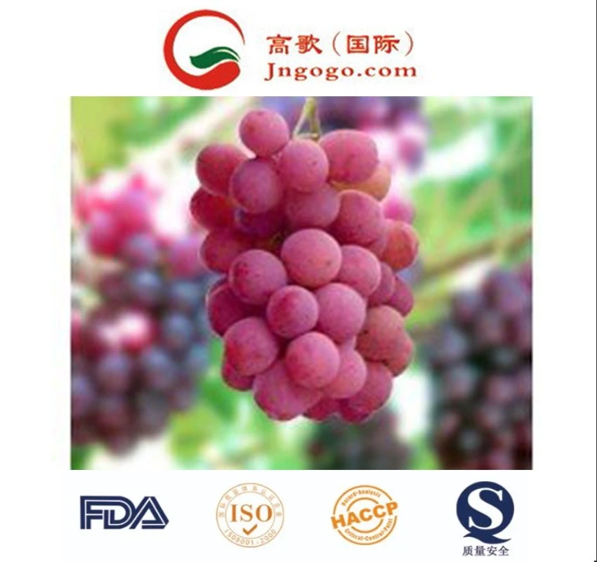 China's Best Fresh Red and Green Grapes