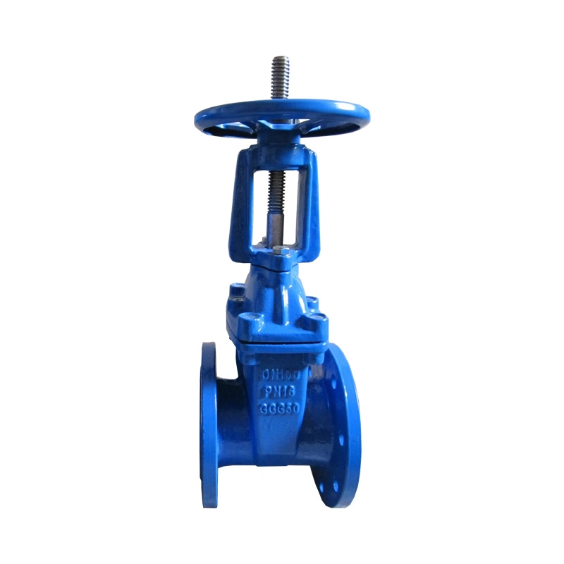 Rising Stem Resilient Seat Flanged Gate Valve Ce Approval