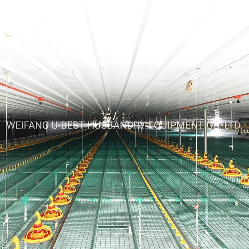 Poultry Farming Equipment with Silo Feeding System Pan Feeding Line Nipple Drinking Line Cooling Pad Ventilation for Broiler