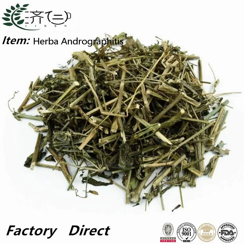 Natural Herbal Medicine Chuan Xin Lian Dried Andrographis Paniculata Leaves