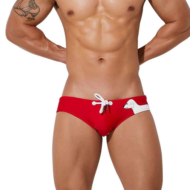 Wholesale/Supplier Popular 2022 Men Swim Briefs Suit Polyester Swimwear