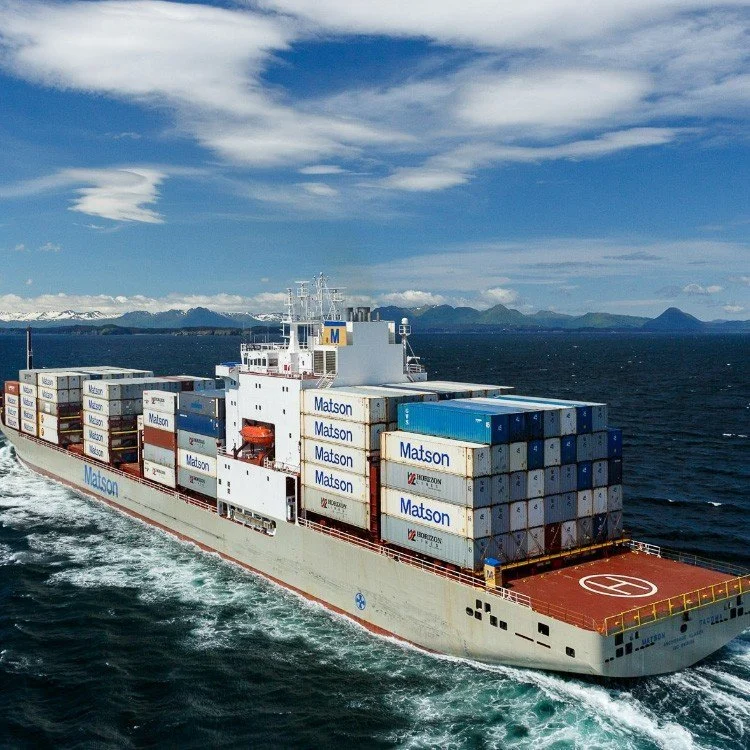 Sea Freight Service China Ninggo to Damietta Port Egypt Ocean Shipping Forwarder Low Price