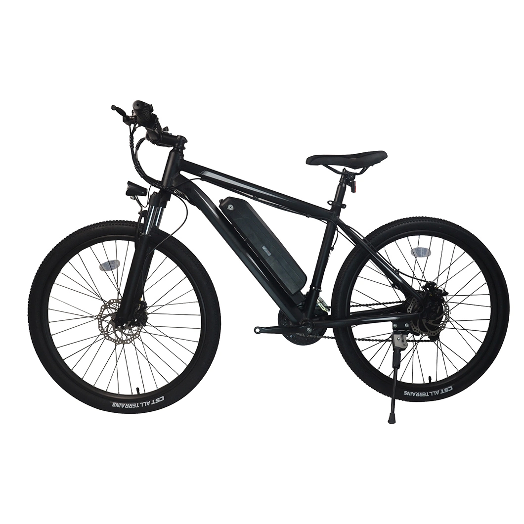 Chinese Factory Wholesale/Supplier Electric Mountain Bike Emtb