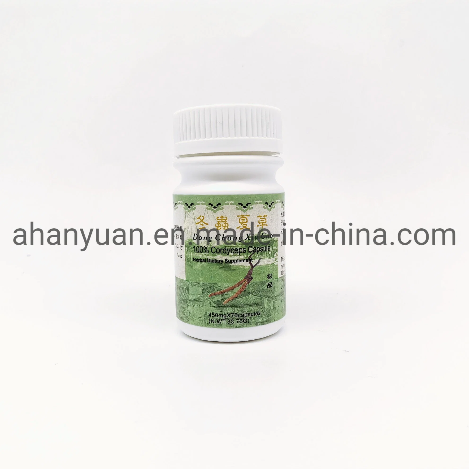 Enhance Immunity Prevention Kidney Failure OEM Service Cordyceps Capsule