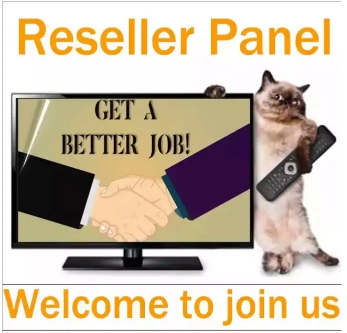 Professional IPTV Subscription World Server Reseller Panel mit M3U Kanälen Frankreich Großbritannien Spanien Deutschland Italien Schweden Android Set Top TV Feld