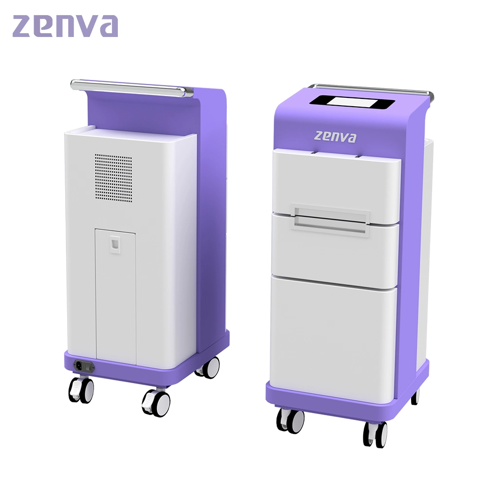 Cheap Portable Hospital Disinfect Medical Equipment Plasma Air Sterilizer Zh/Kxd-Y100