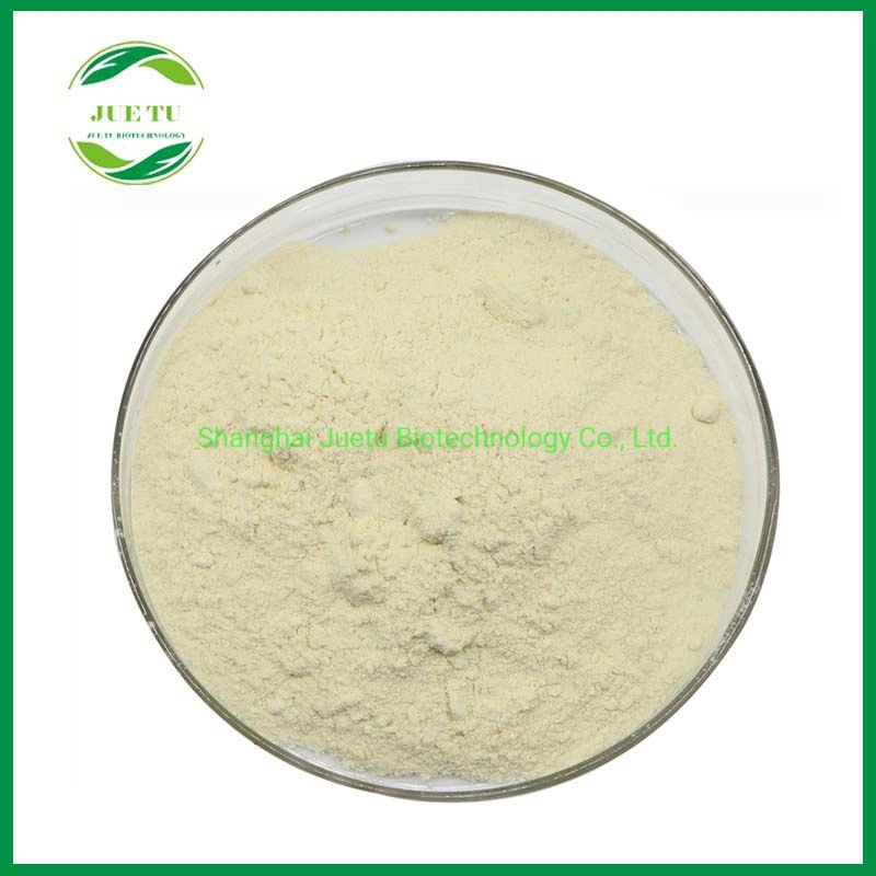 Halal Kosher Wholesale/Supplier Price of Bulk API/Drilling/Cosmetci/Food Grade Thickener E415 Xanthan Gum