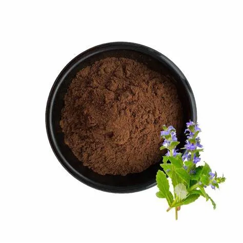 High Quality Ajuga Turkestanica Extract Powder Turkesterone 40%