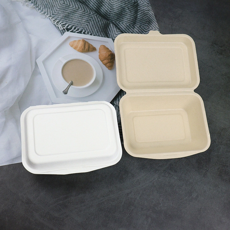 Disposable Food Container Natural Pulp One-Piece Lunch Box 300ml/600ml Sandwich Box (UP-116)