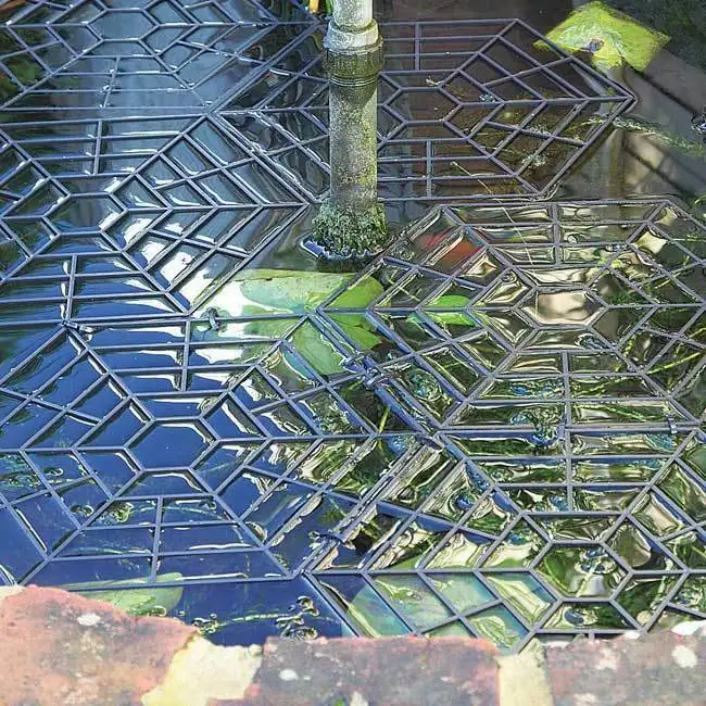 Redes de evitar que los pájaros de peces flotando en el agua