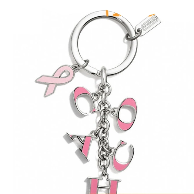 Custom Logo Metal Keychain Enamel Key Chiansfor Promotional Gift (YB-HD-186)