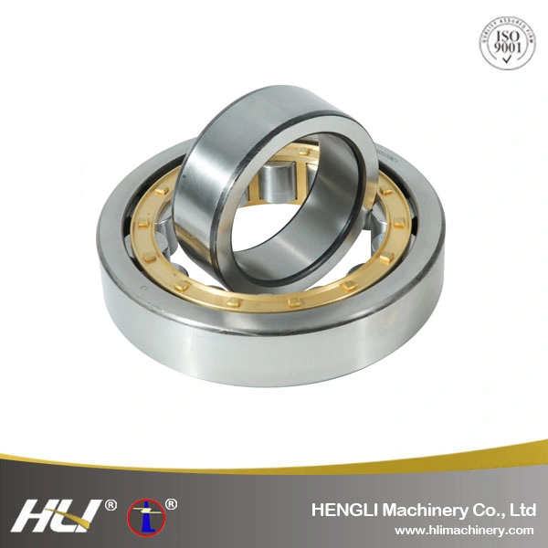 NJ2219EM  95mm *170 mm* 42 mm Cylindrical Roller Bearing for Sports Apparatus