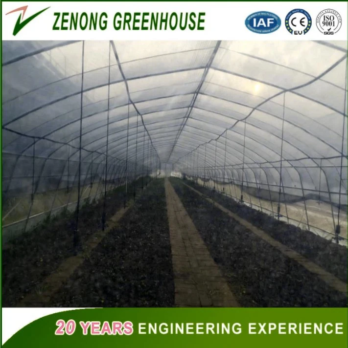 No Welded Assembled Steel Greenhouse Po Film Greenhouse for Planting Vegetables/Succulents/Meaty Flowers