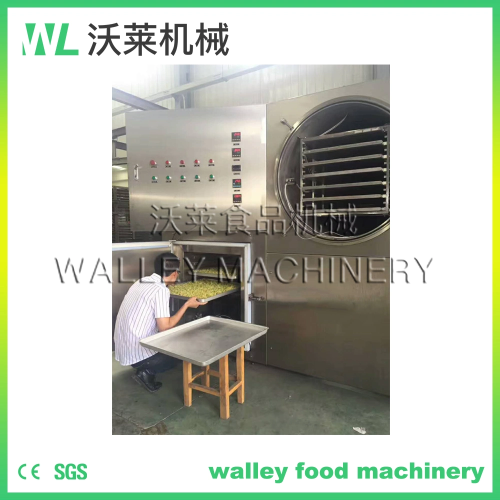 Flower Vacuum Freeze Drying Equipment Mini Lyophilizer Machine