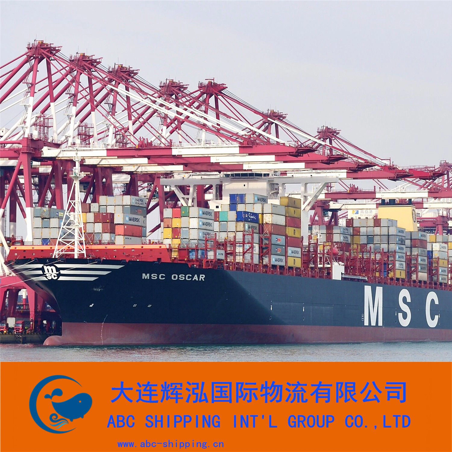 Best Sea Freight From Shenzhen to Bangkok Thailand