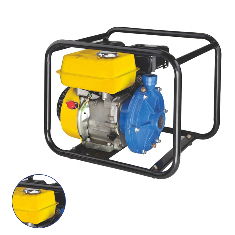 High Pressure Tt50 2 Inch Farm Irrigation Cast Iron Gasoline Engine Water Pump for Sprinkler