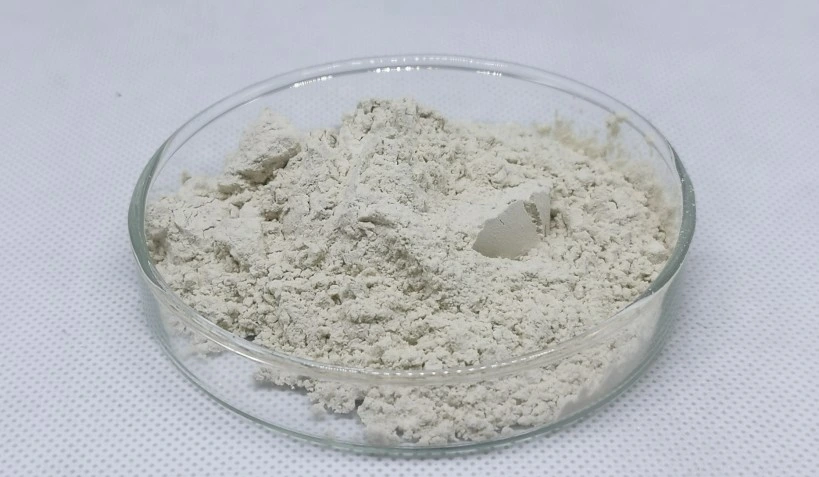 Sonwu Supply Food Additive Enzyme Powder Serrapeptase Powder Serrapeptase