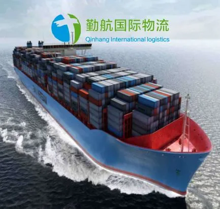 China Trade Agents Shipping Agent to India Cargo Sea Freight Forwarder China to India